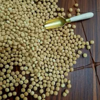 بیسکویت مرواریدی نخودی