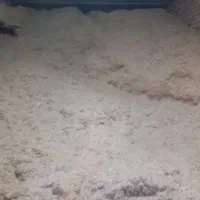 کاه|حیوانات مزرعه|گل تپه, |دیوار