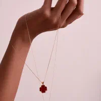 پروژه عکاسی /عکاس/پرتره|خدمات پذیرایی، مراسم|تهران, شکوفه|دیوار