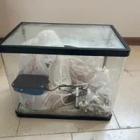 آکواریوم سالم و نو به همواره لوازم دیگه