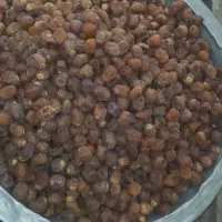 خرما و رطب