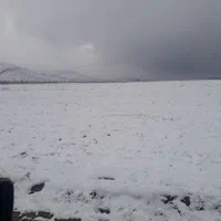 راهنمایی شغل