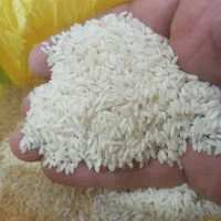 فروش برنج عنبر بوه|خوردنی و آشامیدنی|شوشتر, |دیوار