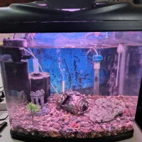 آکواریوم کامل