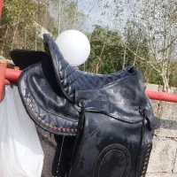 زین سوار کاری فروشی