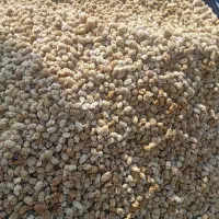 توت خشک درجه یک کردستان .فروش به صورت عمده|عمده‌فروشی|رشت, چله خانه|دیوار