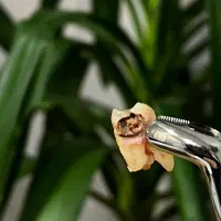 دندانپزشکی طرف قرارداد دانا البرز آسیا کوثرپارسیان