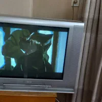 تلوزیون ۲۹ شهاب سالم سالم