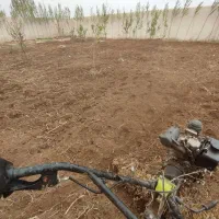 هرس اصولی درختانوشخم درختان توسط دانشجوباغبانی|خدمات باغبانی و درختکاری|مشگین شهر, |دیوار