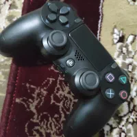 دسته پلی4اصلی