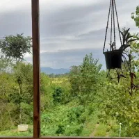 اجاره روزانه باغ ویلا|اجارهٔ کوتاهمدت ویلا و باغ|املش, |دیوار