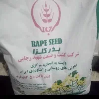 بذر کلزا