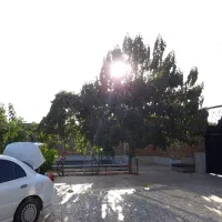 اجاره روزانه باغ|اجارهٔ کوتاهمدت ویلا و باغ|نجفآباد, جوزدان|دیوار