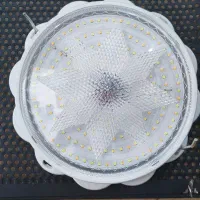 پرژکتور خورشیدی ، پرژکتور ، خورشیدی