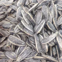 کانادایی درجه یک درشت فروش (چکی)