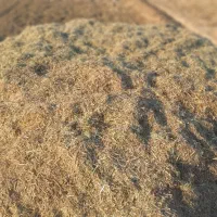 محصولات کشاورزی