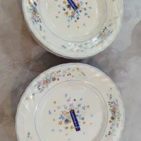 بشقاب آرکوپال فرانسوی ویکتوریا|ظروف سرو و پذیرایی|مبارکه, |دیوار