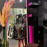 ست آینه قدی ایستاده نور نئون و کنسول طرح بهار|آینه|مشهد, کشف|دیوار