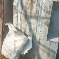 کفی وانت|قطعات یدکی و لوازم جانبی|لاهیجان, کوی خزر|دیوار