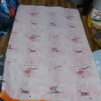 تشک دونفره،۴ عدد بالشت، ماهیتابه رژیمی اک|تشک تختخواب|باغ ملک, |دیوار