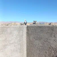 کلاغ سیاه ماده پررنگ|پرنده|تربت‌حیدریه, ده پائین|دیوار