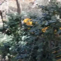 فروش زیر قیمت ویلایی ۲۰۰متری درکه