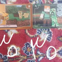 کارتای ماینکرافت