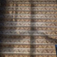 پرده زبرا سالم