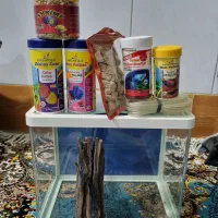 آکواریم شیشه خم شرکتی