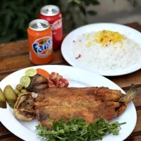 پذیرایی از مجالس عروسی،عقد،دورهمی هاو شرکتها.|خدمات پذیرایی، مراسم|مشهد, جاهد شهر|دیوار