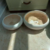 گلدان سفالی و پلاستیکی