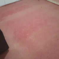 موکت کار کرده|موکت|اردبیل, |دیوار