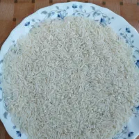 فروش برنج