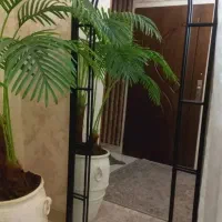 آینه قدی|آینه|اراک, |دیوار