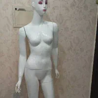 فروش مانکن|فروشگاه و مغازه|اهواز, شهرک دانشگاه|دیوار