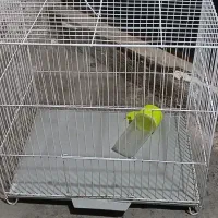 قفس پرنده