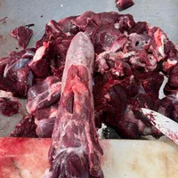 زبان گوساله و مغز تازه کشتار روز|خوردنی و آشامیدنی|تهران, اسفندیاری|دیوار
