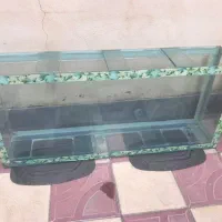 اکواریم بزرگ ۱.۵ متری