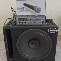 میکرفون اکو باند ۱۲ اینچ