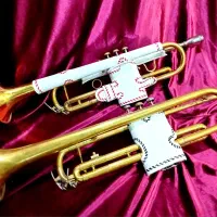 کاور ترومپت|سازهای بادی|نیشابور, رحمت آباد|دیوار