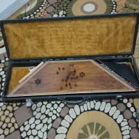 سنتور.حرفه ای