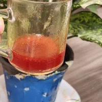 زعفرون اعلا|خوردنی و آشامیدنی|تهران, پرستار|دیوار