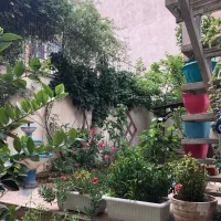 اجاره اپارتمان|اجارهٔ آپارتمان|تهران, تجریش|دیوار