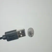 نگین شجر تک درخت کلکسیونی