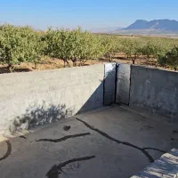 باغ/بادام مامایی/مجوزساخت/استخر/سند|فروش دفتر صنعتی، کشاورزی، تجاری|بن, |دیوار