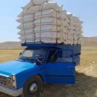 کاه و یونجه