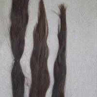 مو فروشی طبیعی بدون رنگ و حنا