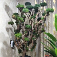 درخت جاودان vip شاهپسند با گلدان مصری بلند|گل مصنوعی|شاهدشهر, |دیوار