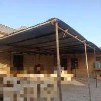 داربست شیرونی( توافقی)