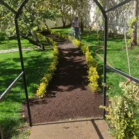 ارایه خدمات نوین دانش بنیان کشاورزی|خدمات باغبانی و درختکاری|باسمنج, |دیوار